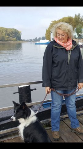 Besuch im Tierheim Sandhofen 2017